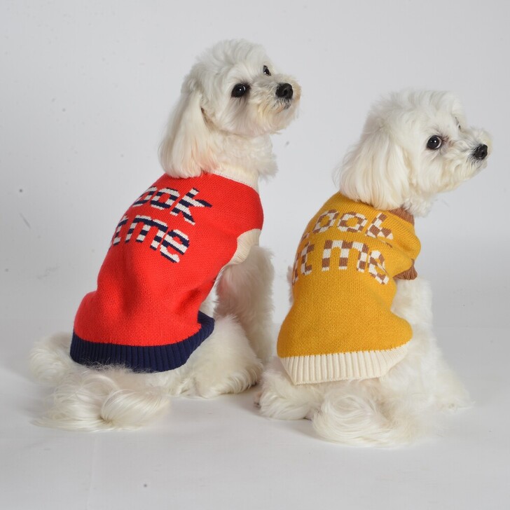 【ALPACA】アルパカLook　at　meロゴニット