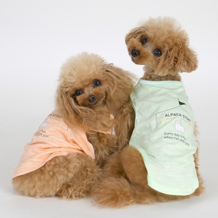 【ALPACA】アルパカテントノースリーブ