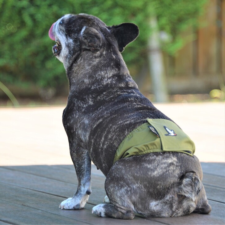 【MWT】マナーベルト