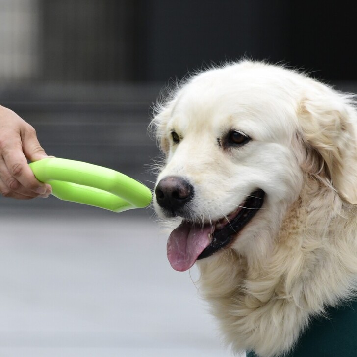 【MWT】フローティングフープトイ