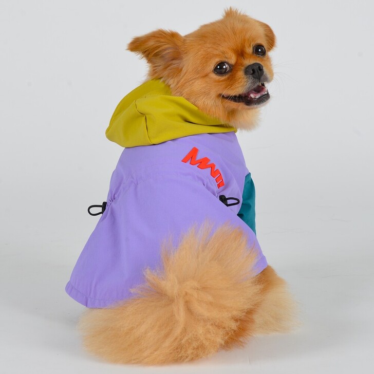 【MWT】ウィンドソフトシェル