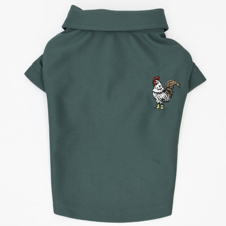 62.ﾀﾞｰｸｸﾞﾘｰﾝ