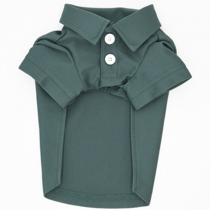 62.ﾀﾞｰｸｸﾞﾘｰﾝ