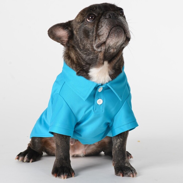 【MWT】ベーシックSSドライポロ