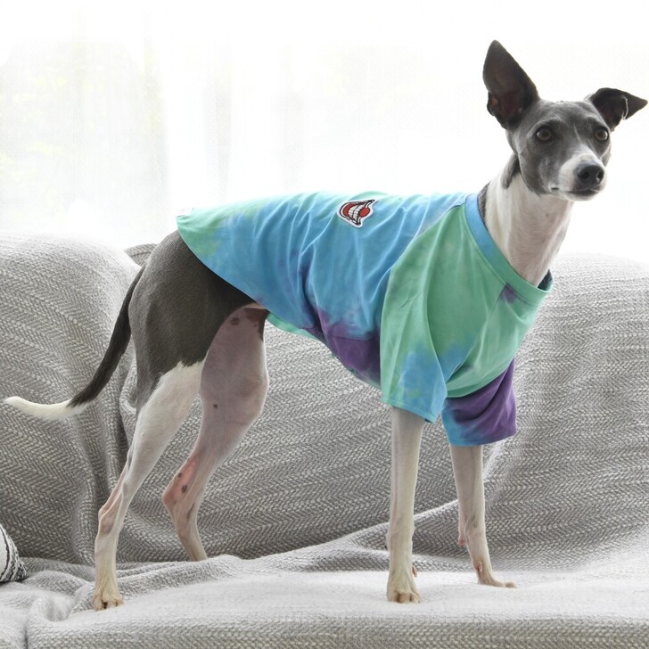 【MWT】タイダイTシャツ