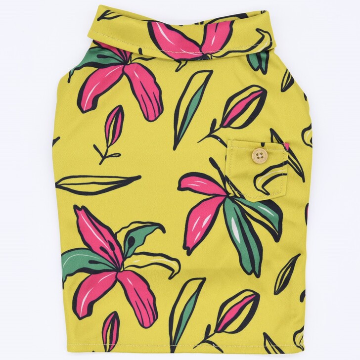 27.ﾏｽﾀｰﾄﾞ