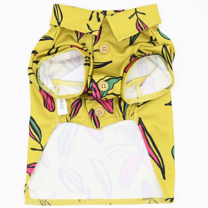 27.ﾏｽﾀｰﾄﾞ