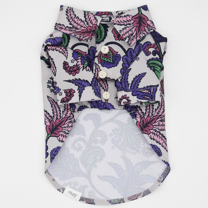 50.ﾊﾟｰﾌﾟﾙ