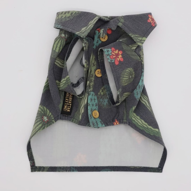 62.ﾀﾞｰｸｸﾞﾘｰﾝ