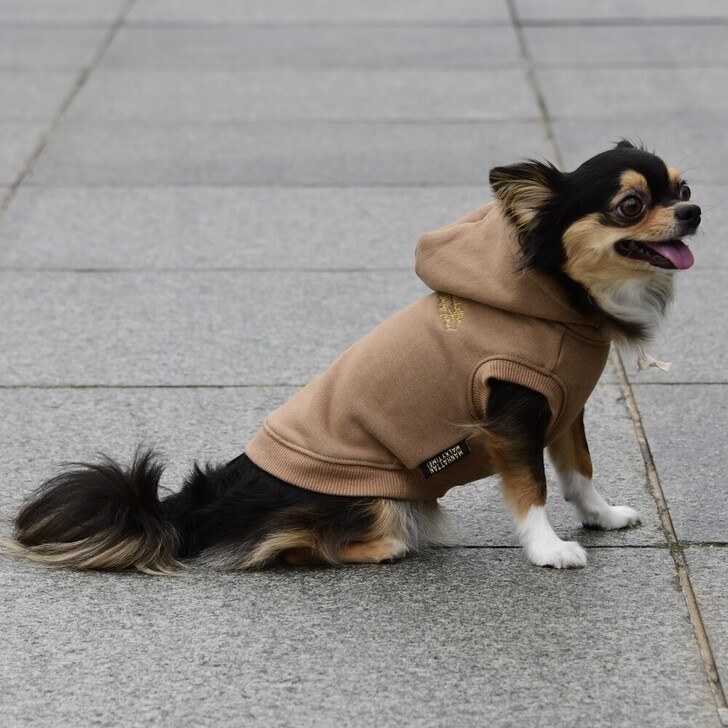 【MWT】ベーシックフーディー