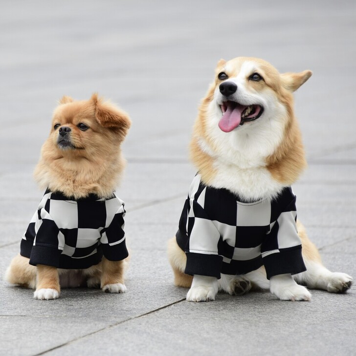 【MWT】トラッカージャケット