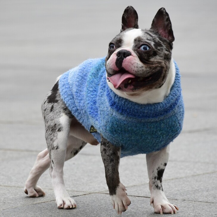 【MWT】モックネックグラデーションベスト