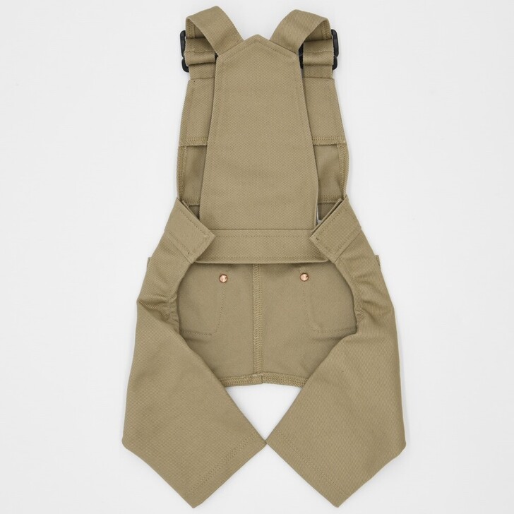 20.ﾍﾞｰｼﾞｭ