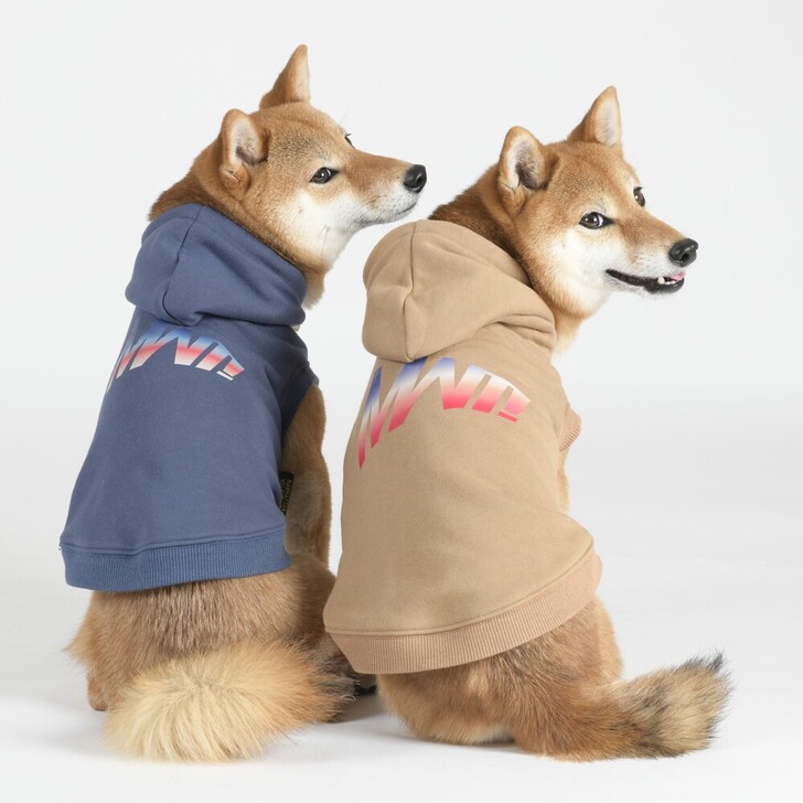 【MWT】ベーシックフーディー