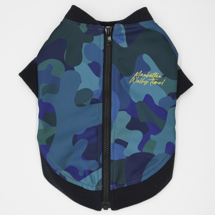 85.ﾈｲﾋﾞｰｶﾓ