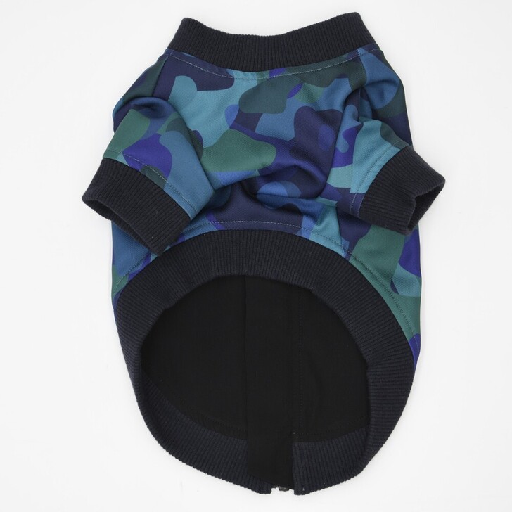 85.ﾈｲﾋﾞｰｶﾓ