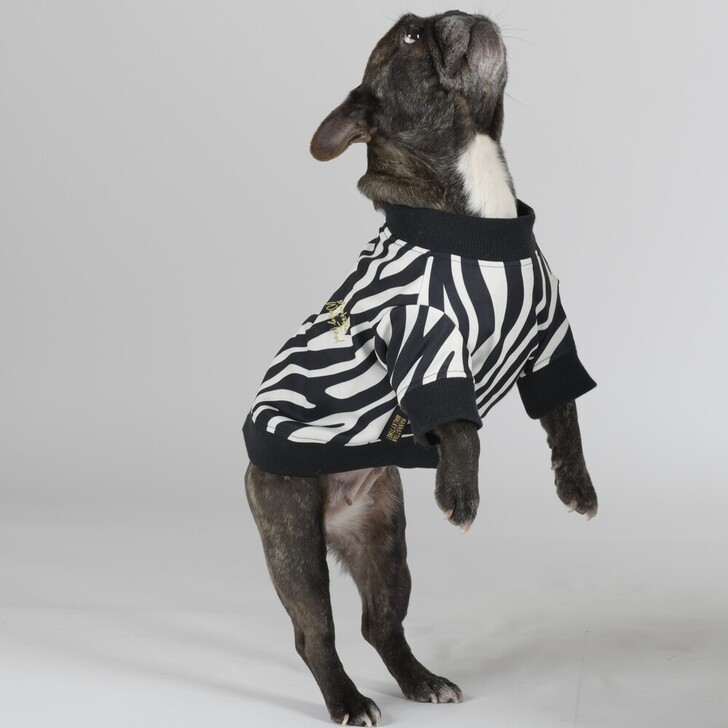 【MWT】トラッカージャケット