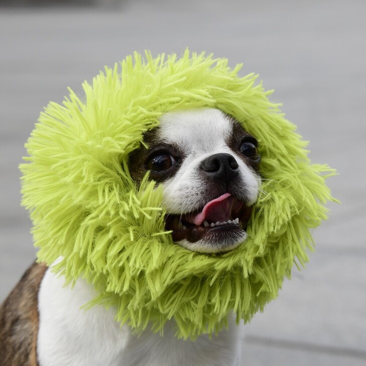 【MWT】シャギーネックウォーマー