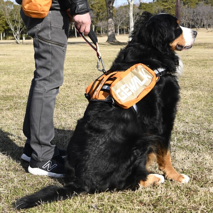 【GEWALK】サドルバッグエコ