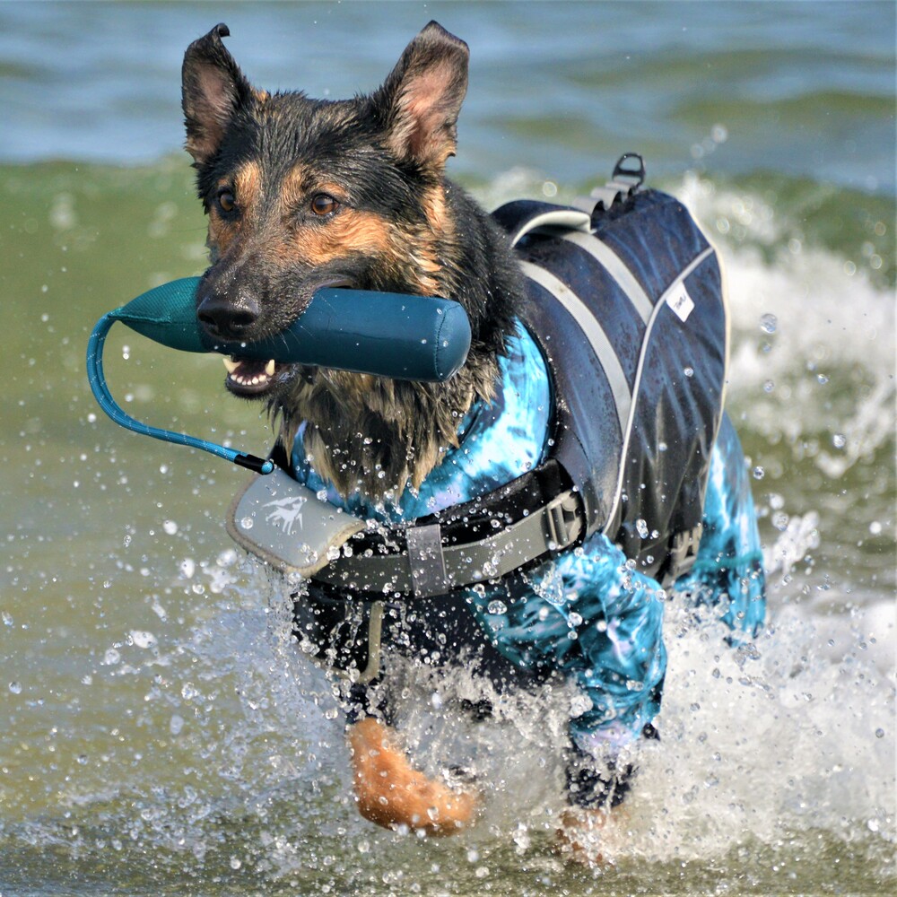 【GEWALK】Z-7バイティングフロート