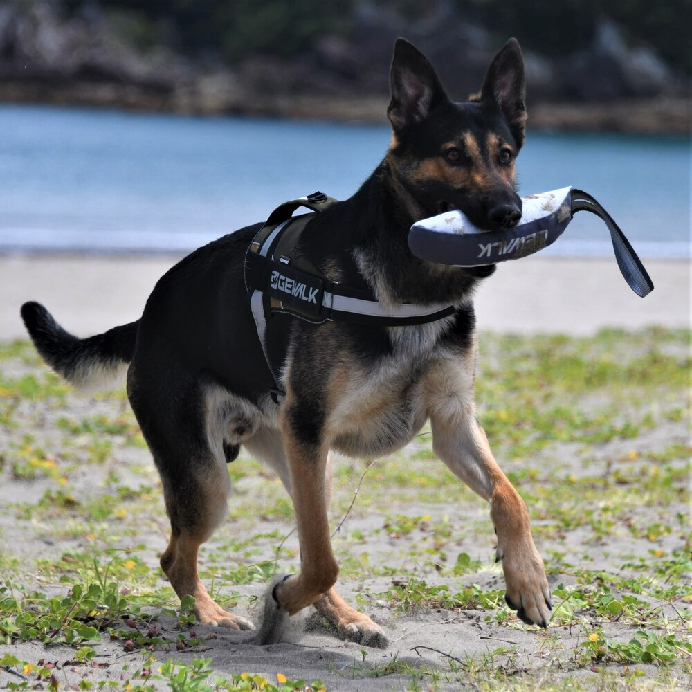 【GEWALK】Z-7バイティングバナナ