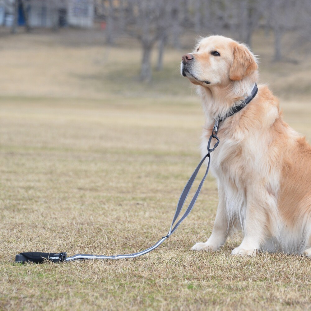 【GEWALK】アジャスタブルリーシュエコ115-200