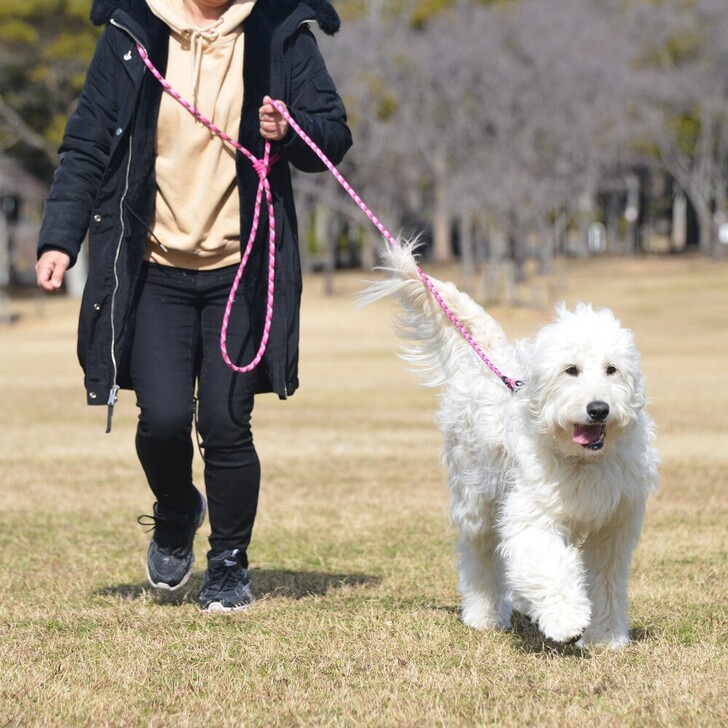 【GEWALK】マルチファンクションロープリーシュエコ300