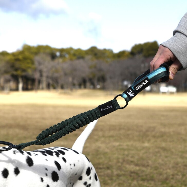 【GEWALK】ヘビーデューティーストレッチリーシュ48