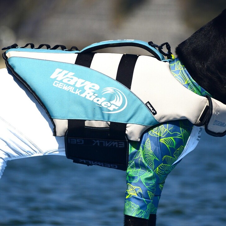 【GEWALK】ウェーブライダーエコパッド