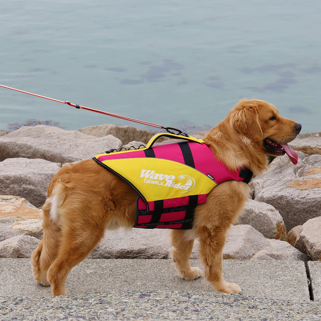 【GEWALK】GW　Wave　Rider　Eco