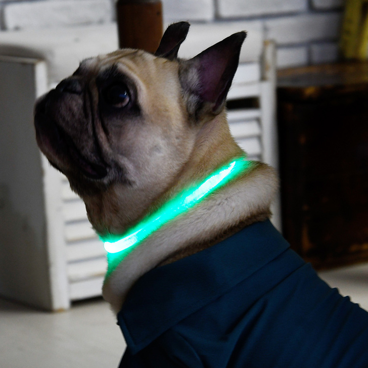 【GEWALK】LEDウォータープルーフセーフティネックリング