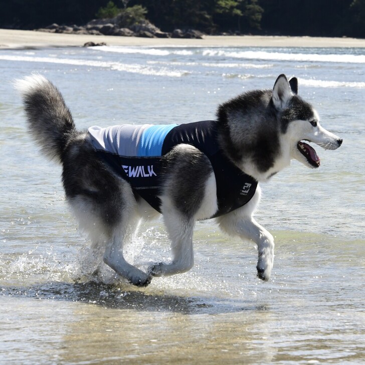 【GEWALK】526アクティブクーリングタンクトップ