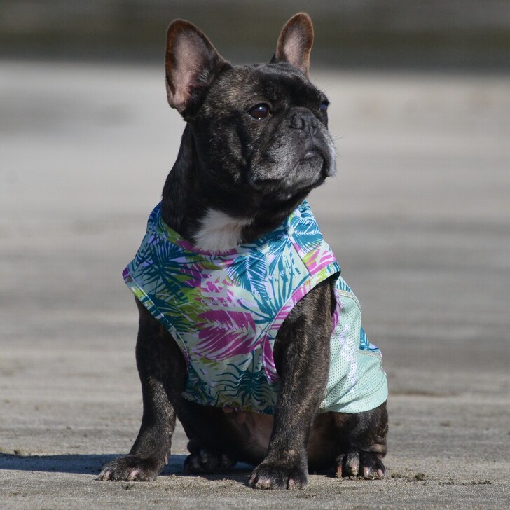 【GEWALK】528アクティブサンシェードタンクトップ