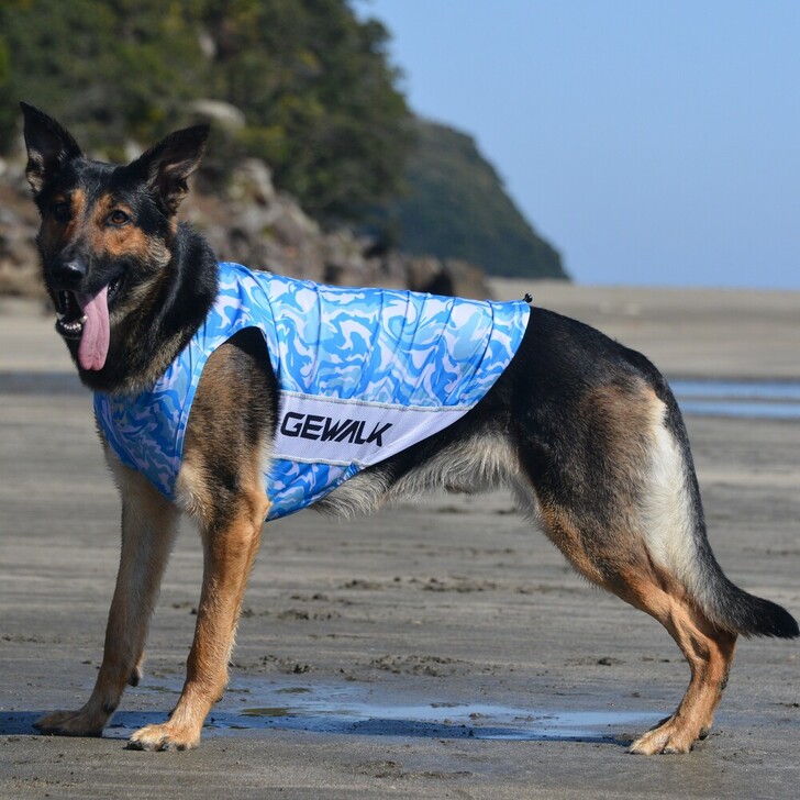 【GEWALK】529アクティブサンシェードタンクトップ