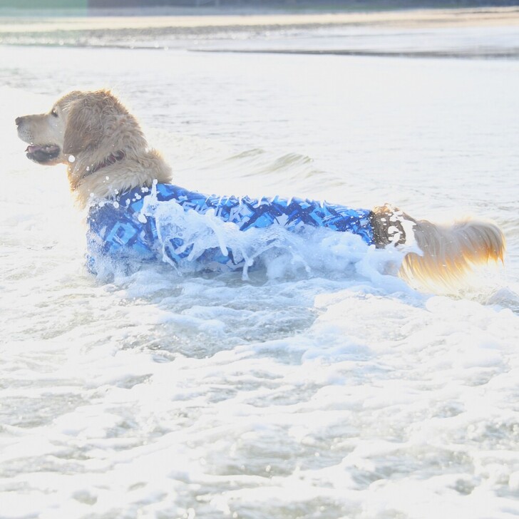 【GEWALK】531プロテクトストレッチロンパース