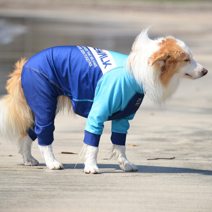 【GEWALK】532プロテクトストレッチロンパース