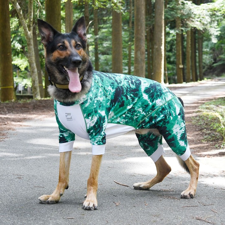 【GEWALK】536プロテクトストレッチロンパース