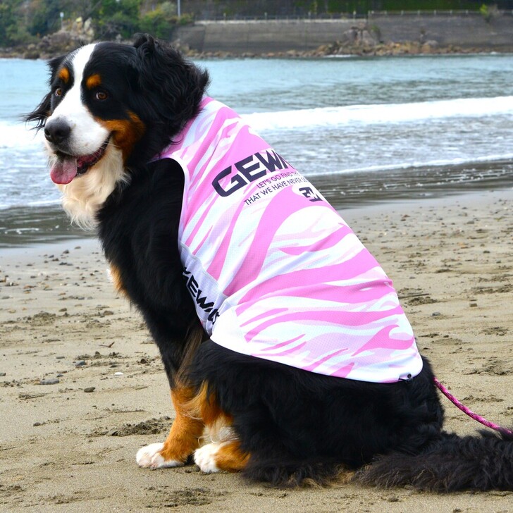 【GEWALK】539アクティブクーリングタンクトップ