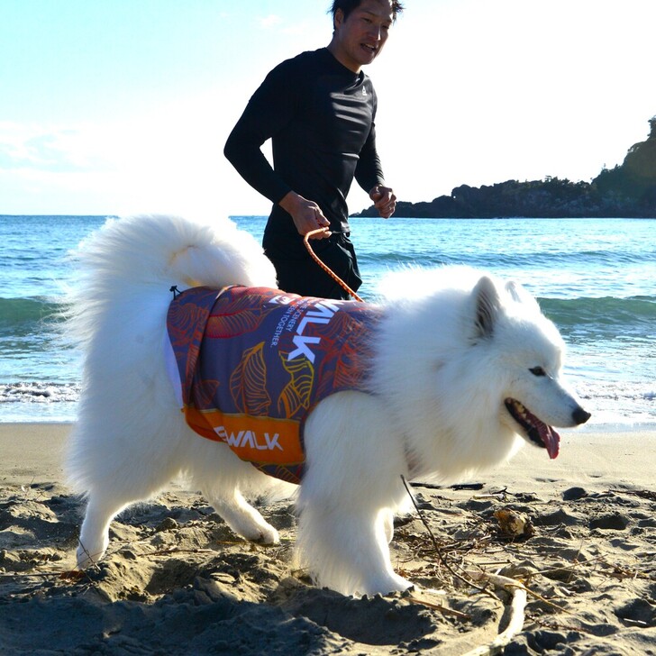 【GEWALK】540アクティブクーリングタンクトップ