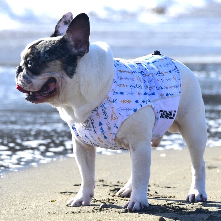 【GEWALK】542アクティブサンシェードタンクトップ