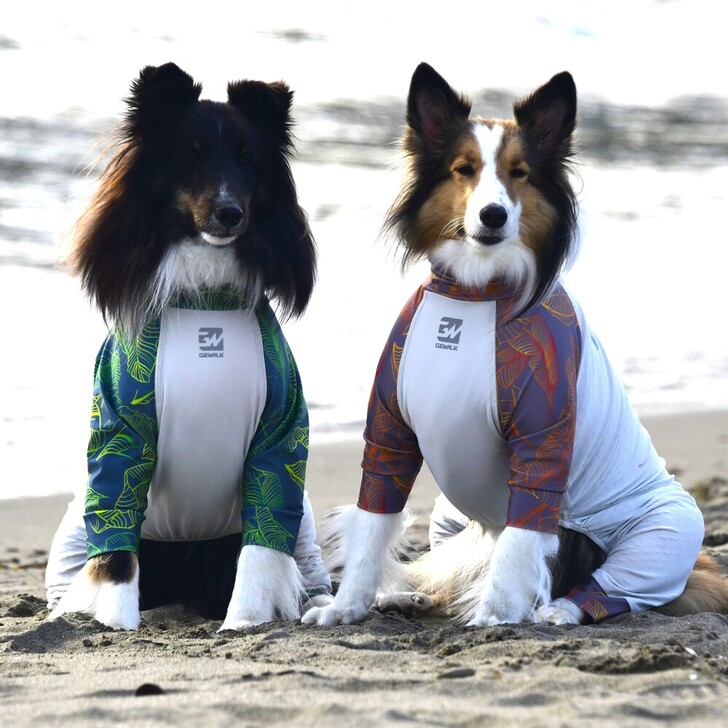 【GEWALK】544マイナスフリージングロンパース