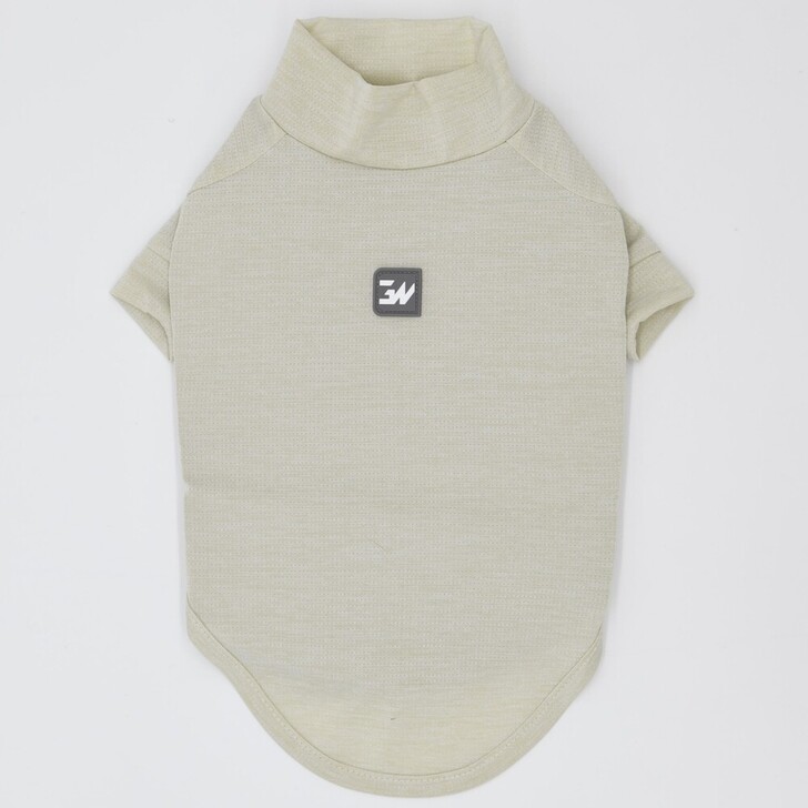 20:ﾍﾞｰｼﾞｭ