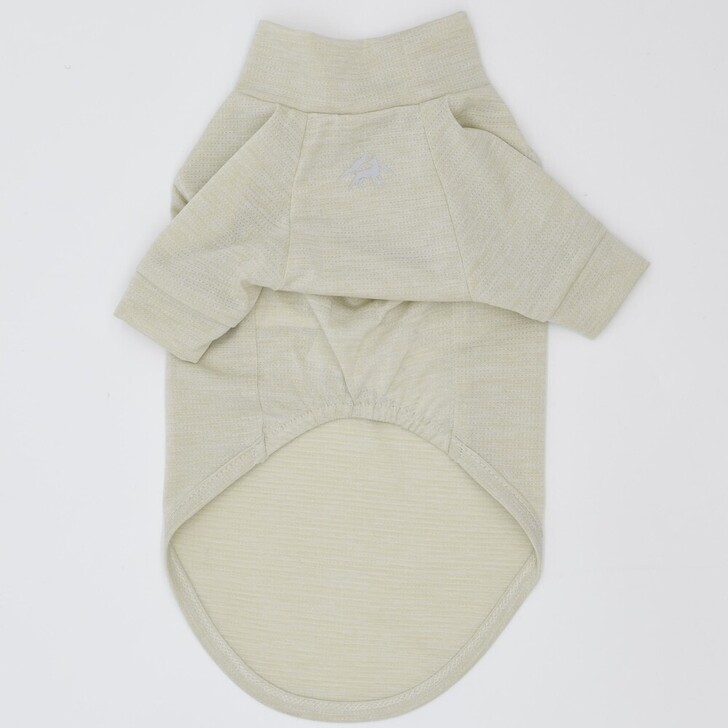 20:ﾍﾞｰｼﾞｭ