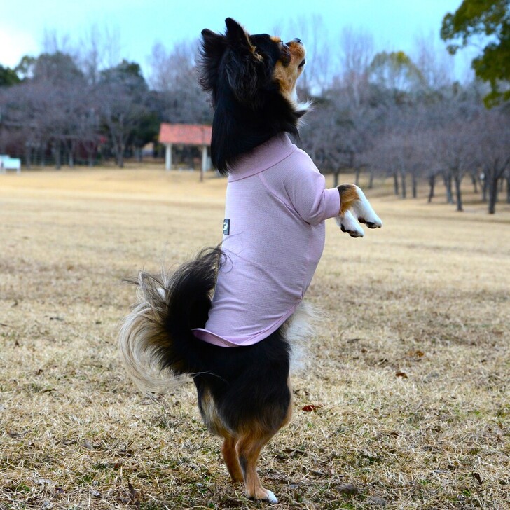 【GEWALK】ガードマックスアクティブTシャツ