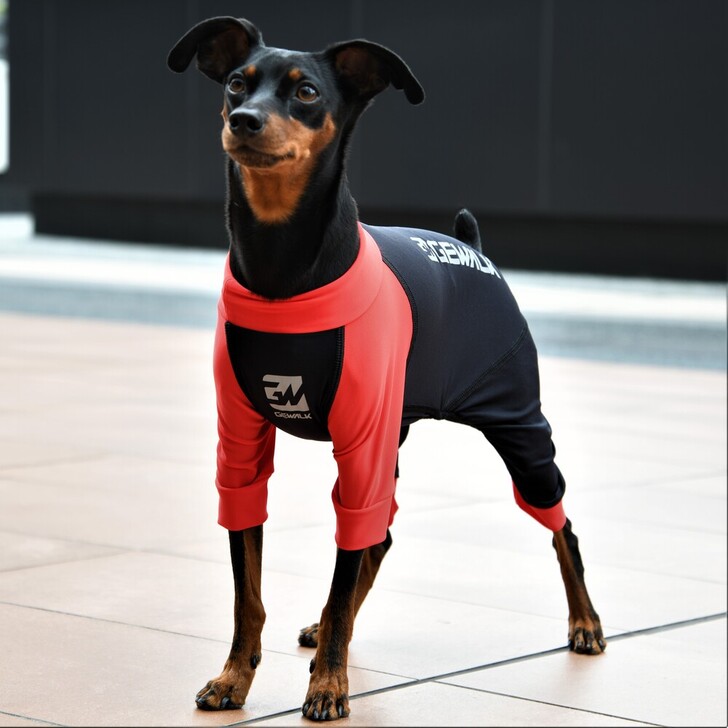 【GEWALK】光電子ロンパース