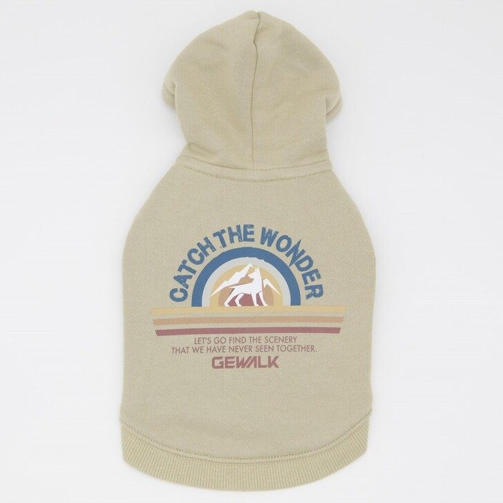 20.ﾍﾞｰｼﾞｭ