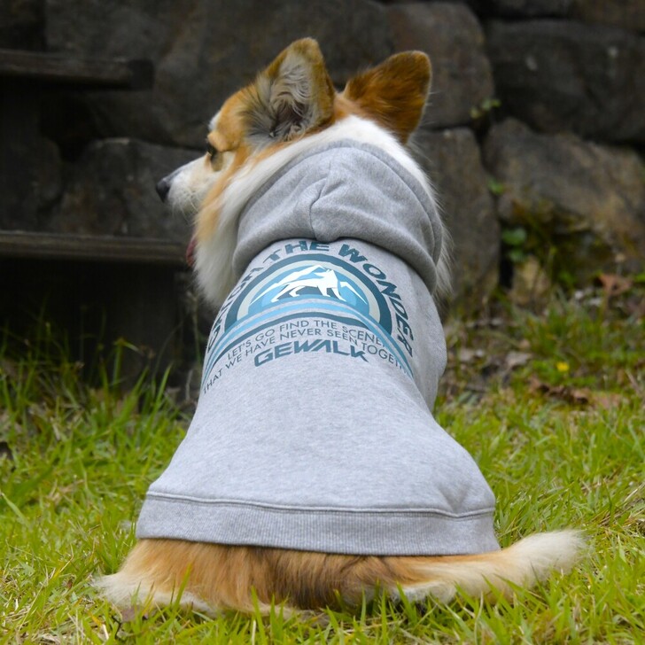 【GEWALK】606ホライゾンフーディー