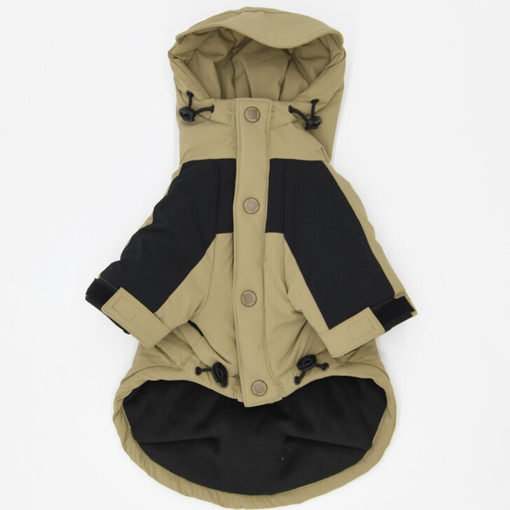 20.ﾍﾞｰｼﾞｭ