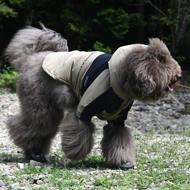 【GEWALK】コーデュラサーマルシェルジャケット