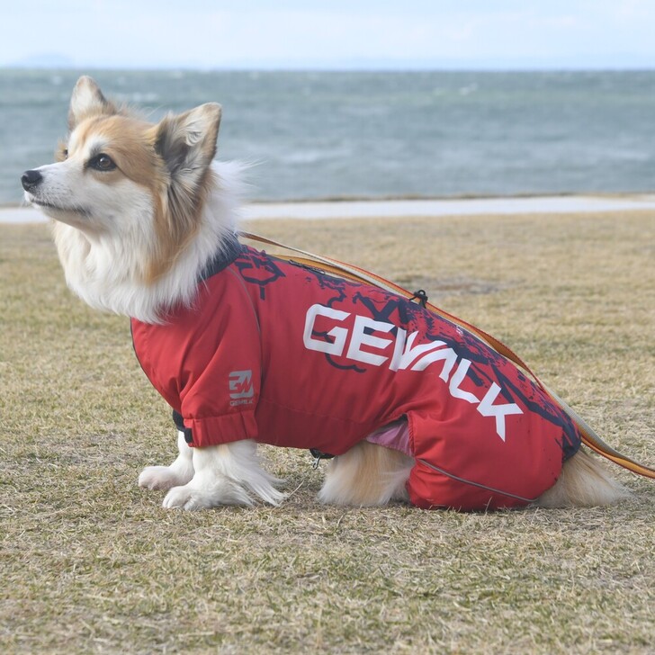 【GEWALK】DRIZZLE　THERMAL　OVERALL